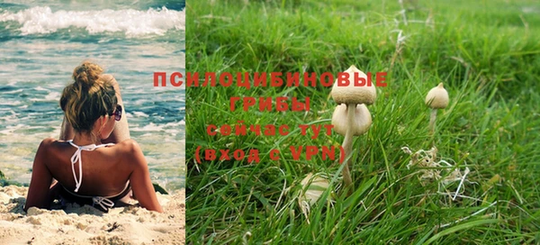 гидра Армянск