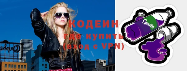хмурый Алзамай