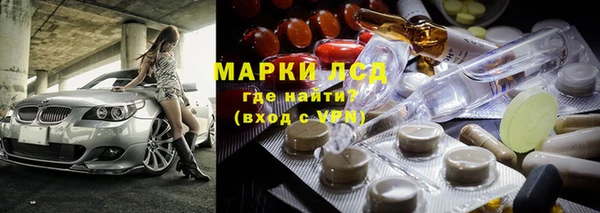 хмурый Алзамай