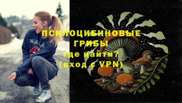 гидра Армянск