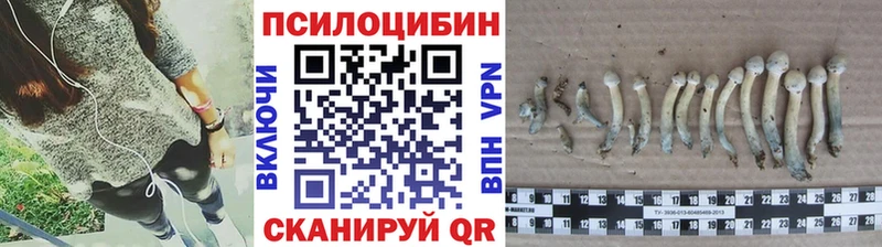 купить закладку  Строитель  Галлюциногенные грибы прущие грибы 