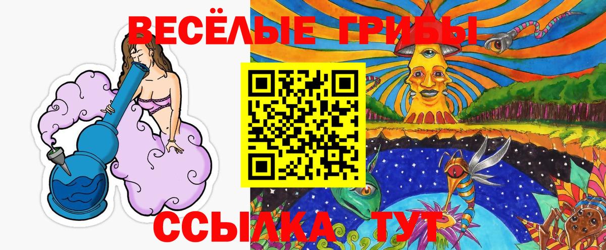Строитель  Галлюциногенные грибы ЛСД  Вход с VPN  наркошоп  Псилоцибиновые грибы GOLDEN TEACHER 